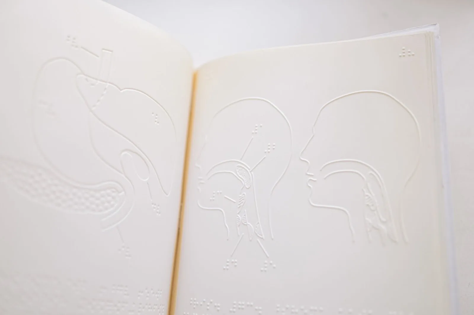 Detailed close-up of embossed anatomy diagrams on an open braille book page.