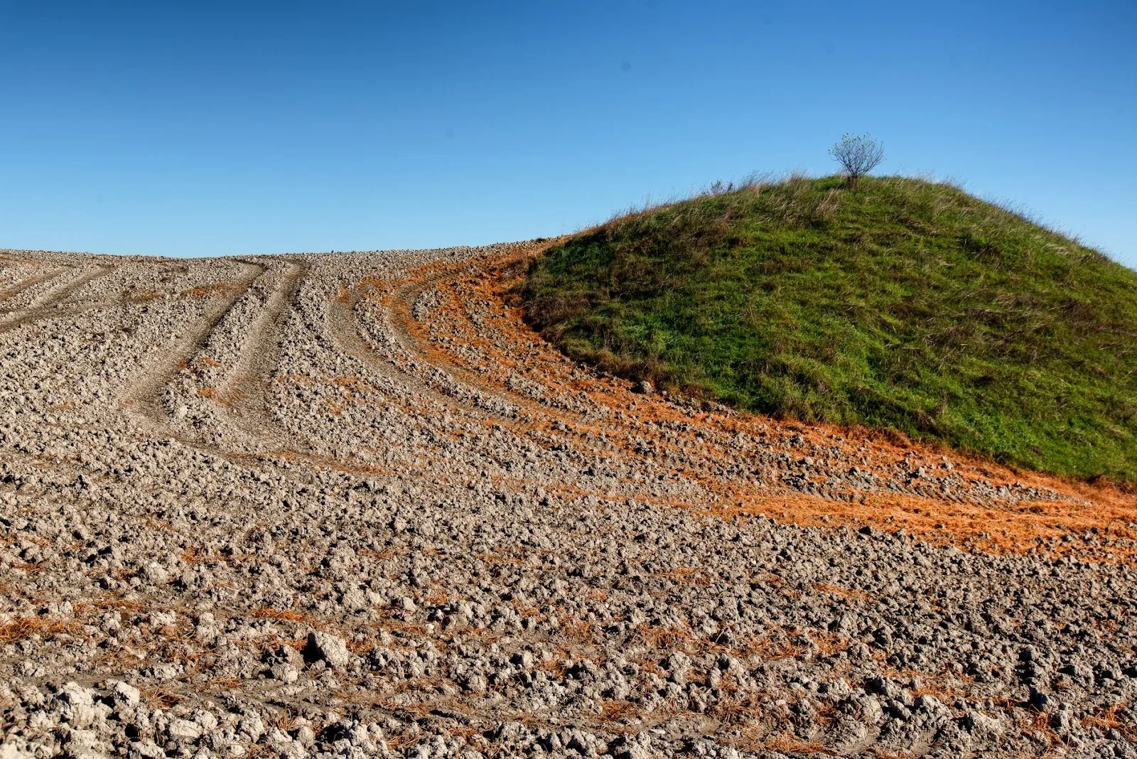A vivid landscape depicting a freshly plowed field juxtaposed with a grassy hill under a clear blue sky.
