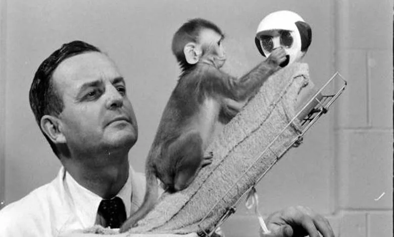 Harry Harlow Monkey Experiments: The Cloth Mother Study