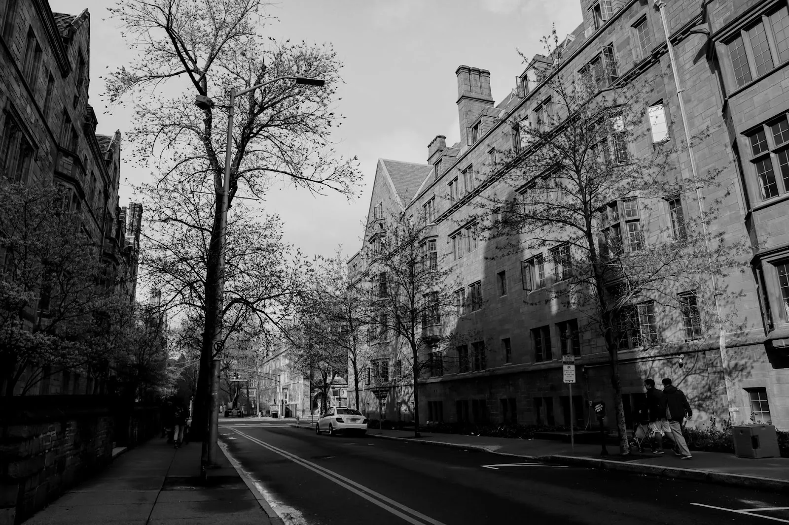 Black and white photo of a historic street in New Haven with classic architecture and trees lining the road.